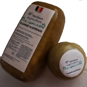 Kaas met Vlaamse MicroAlgen