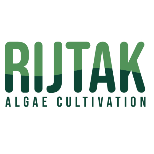 Rijtak Algae cultivation